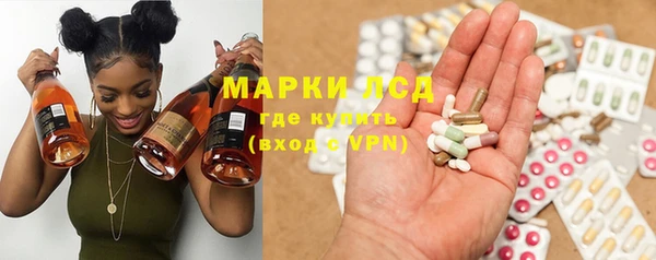 прущие грибы Беломорск