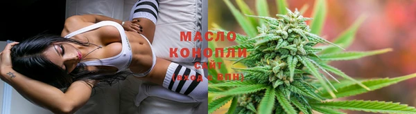 прущие грибы Беломорск