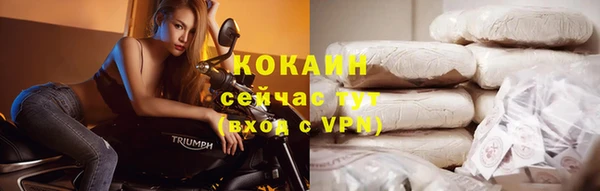 стаф Белокуриха