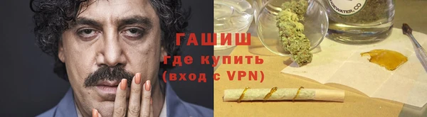 стаф Белокуриха