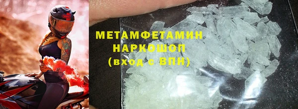 прущие грибы Беломорск