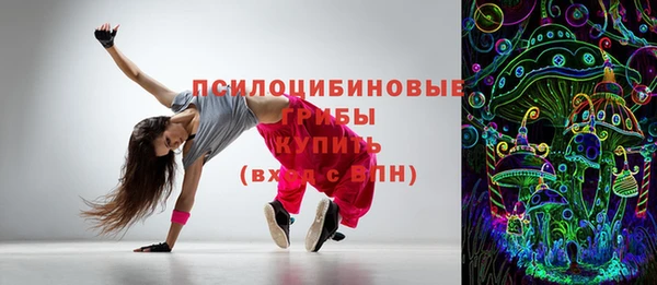 стаф Белокуриха
